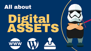 Digital Asset Investment Products