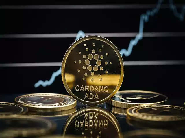 Cardano TVL Recovers To $155 Million After Jumping 30% In 24 Hours